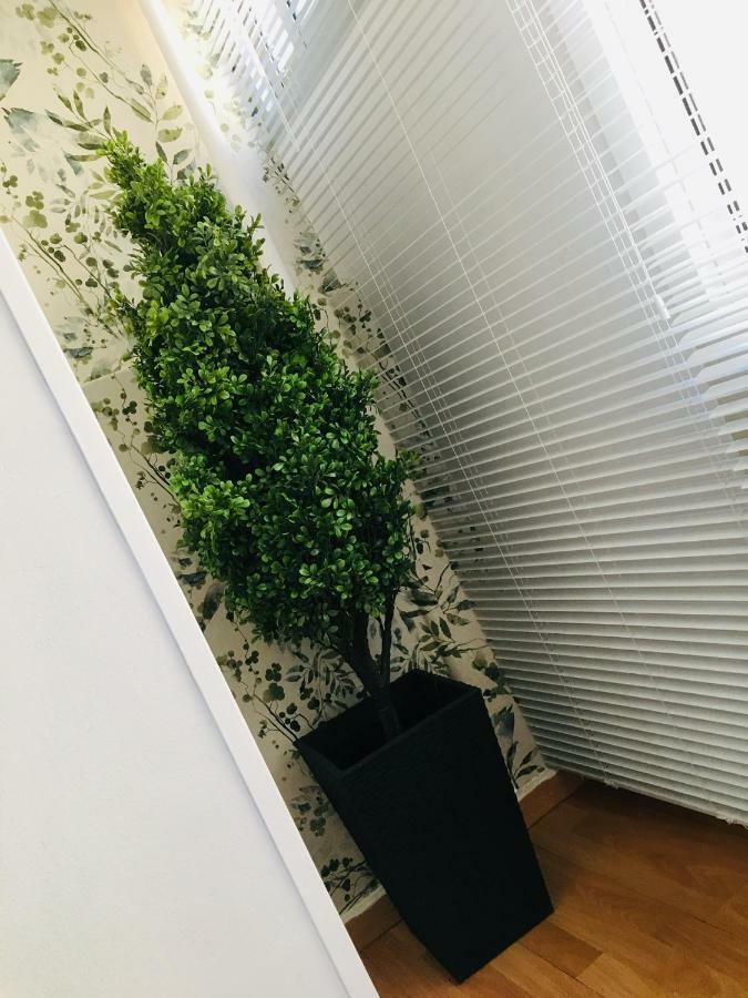Apartamento Good Vibes Apartment Zaragoza Bagian luar foto